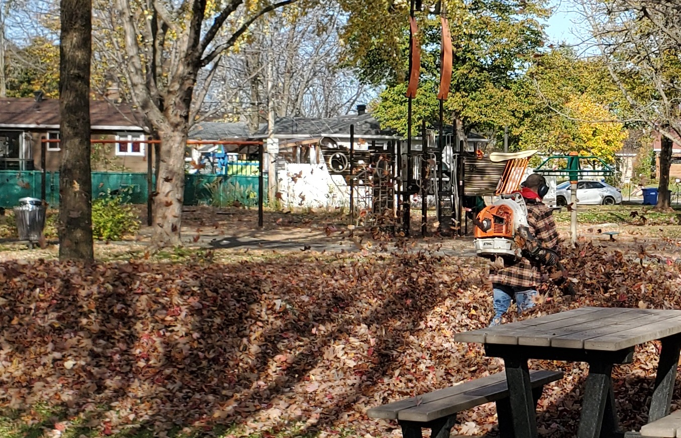 Ramassage de feuilles en automne